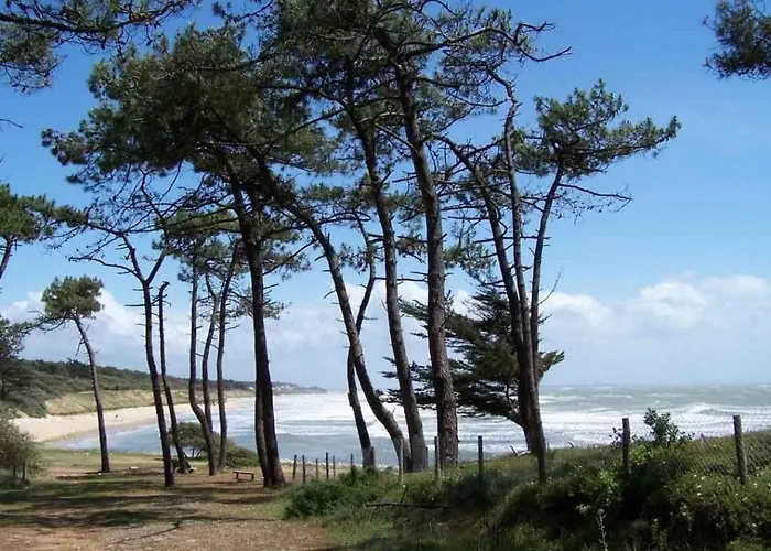 Chez Louise & Basile